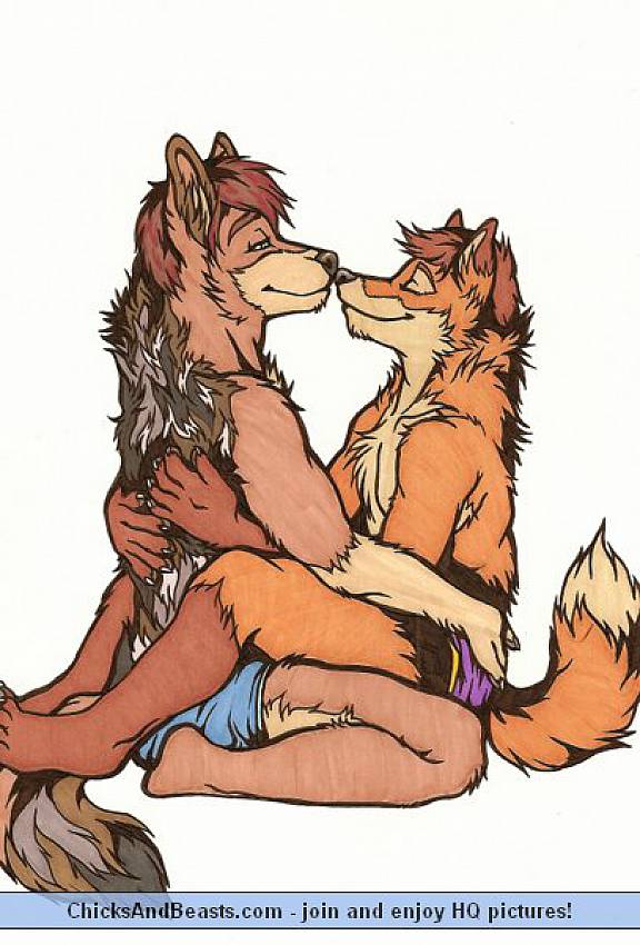 Bisexual Furry Porn - Bisexual furry guys. Gay content - 4 pics.