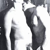Vintage homosexual porn archives.