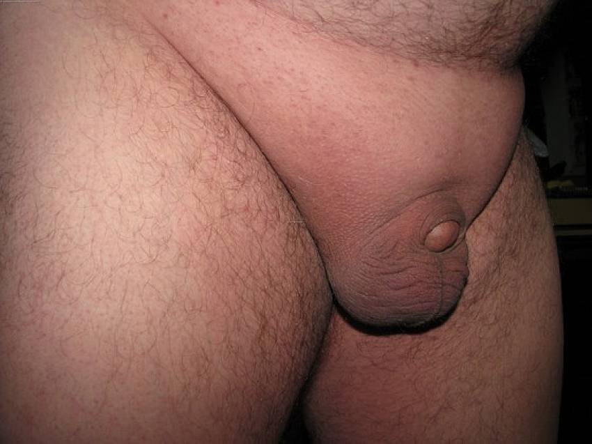 Penis small