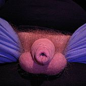 My tiny pecker locked in chastity gelery.
