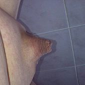 MY petite little petite cockseries.