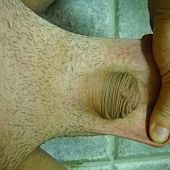 Miniature cock is hawt pictures.